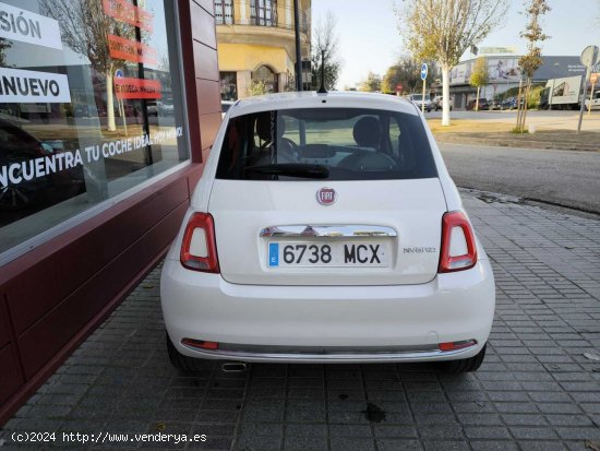 Fiat 500 FIAT 500 1.0 DOLCEVITA HYBRID 70CV - Palma