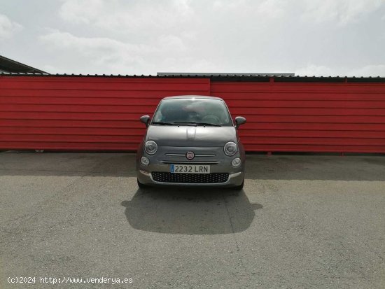 Fiat 500 cabrio 1.0 HYBRID DOLCEVITA C 2P - Palma