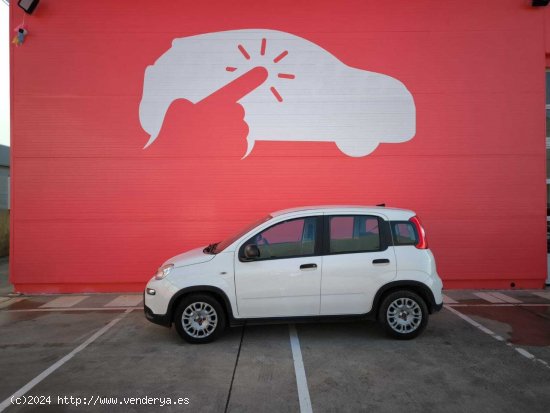 Fiat Panda 1.0 MHEV 5P - Palma