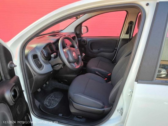 Fiat Panda 1.0 MHEV 5P - Palma