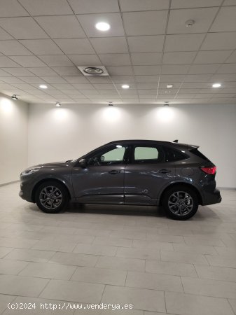 Ford Kuga ST-Line 1.5T EcoBoost 110kW (150CV) - Lleida