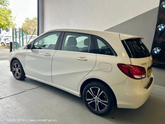 MERCEDES Clase B en venta en Sevilla (Sevilla) - Sevilla