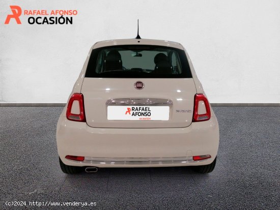 Fiat 500 Dolcevita 1.0 Hybrid 51KW (70 CV) - Las Palmas de Gran Canaria