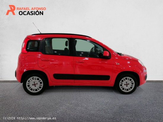 Fiat Panda 1.2 Lounge 51kW (69CV) - Santa Cruz de Tenerife