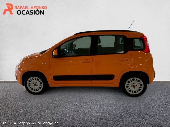 Fiat Panda 1.2 Lounge 51kW (69CV) - Las Palmas de Gran Canaria