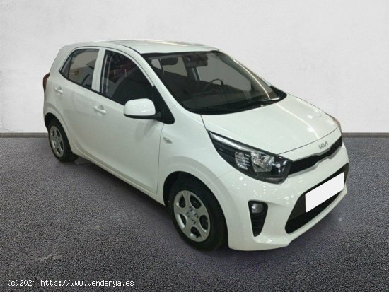  Kia Picanto 1.0 DPi 49kW (67CV) Concept Pack Comfort CLEAR WHITE - València 