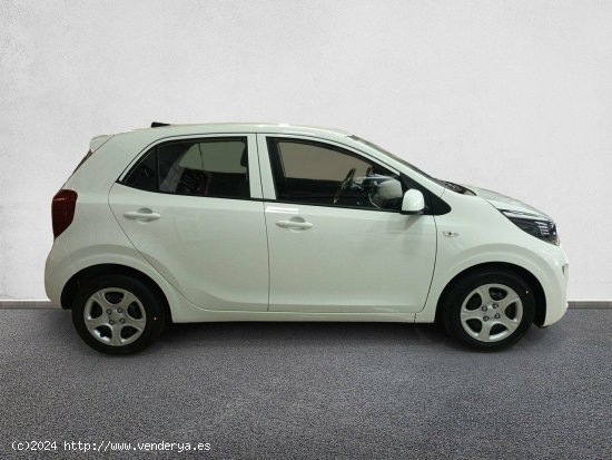 Kia Picanto 1.0 DPi 49kW (67CV) Concept Pack Comfort CLEAR WHITE - València