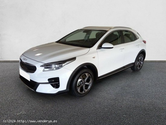 Kia XCeed 1.0 T-GDi Drive 88kW (120CV) CASA WHITE - València