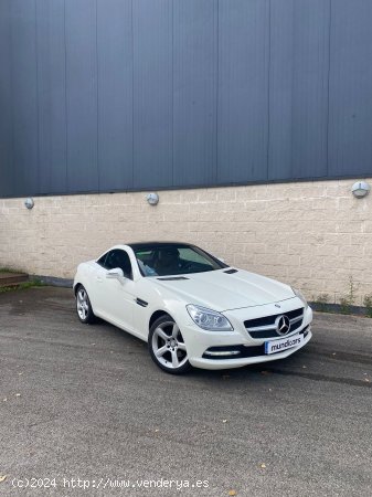 Mercedes Clase SLK SLK 200 BlueEfficiency - Blanes