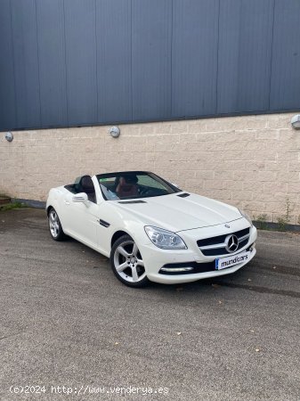 Mercedes Clase SLK SLK 200 BlueEfficiency - Blanes