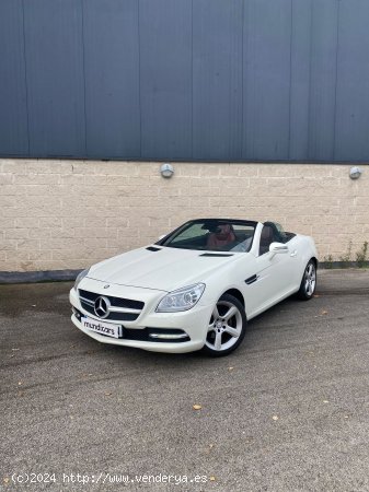 Mercedes Clase SLK SLK 200 BlueEfficiency - Blanes