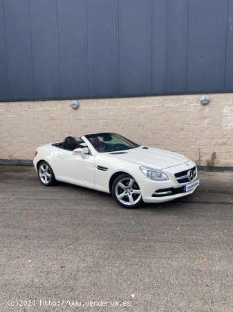 Mercedes Clase SLK SLK 200 BlueEfficiency - Blanes