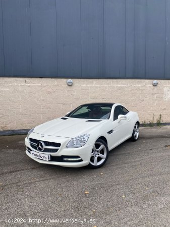 Mercedes Clase SLK SLK 200 BlueEfficiency - Blanes