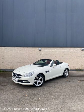 Mercedes Clase SLK SLK 200 BlueEfficiency - Blanes