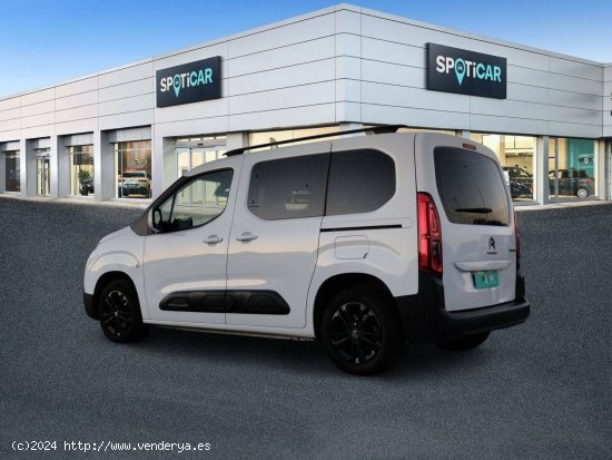 Citroën Berlingo  Talla M BlueHDi 100 Control - 