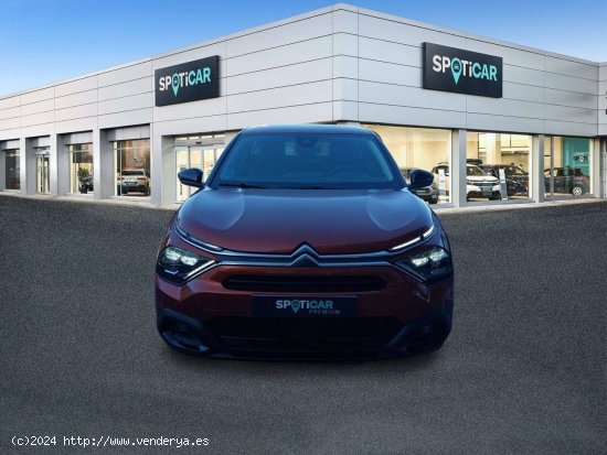 Citroën C4  PureTech 130 S&S 6v Business Edition - 