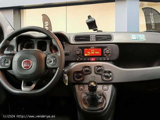 Fiat Panda   Hybrid 1.0 Gse 51kw (70CV) City Life - 