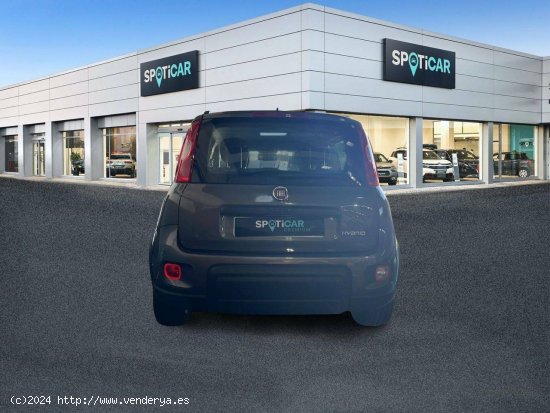 Fiat Panda   Hybrid 1.0 Gse 51kw (70CV) City Life - 