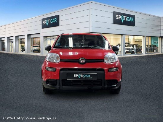 Fiat Panda   Hybrid 1.0 Gse 51kw (70CV) City Life - 