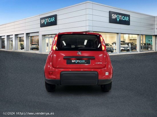 Fiat Panda   Hybrid 1.0 Gse 51kw (70CV) City Life - 