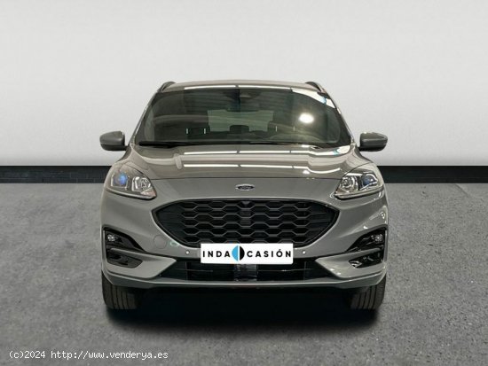 Ford Kuga Hibrido 2.5 Duratec Fhev St-line 4x2 Aut. - Huércal de Almería