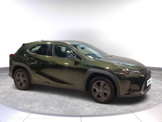 Lexus UX 2.0 250h Luxury - Toledo