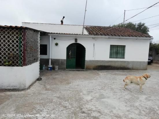  CASA DE CAMPO EN CANTARRANAS - CADIZ 