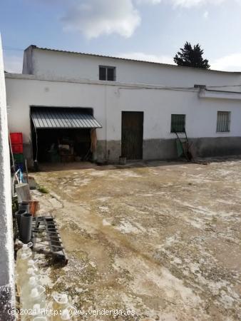 CASA DE CAMPO EN CANTARRANAS - CADIZ