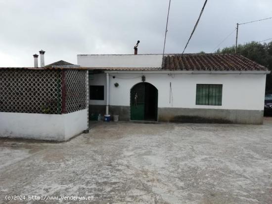 CASA DE CAMPO EN CANTARRANAS - CADIZ