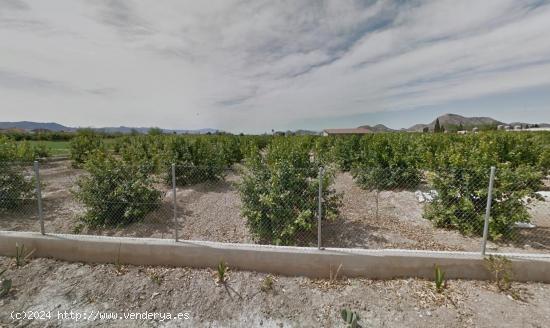 TERRENO EN EL SISCAR - GRAN OPORTUNIDAD - MURCIA