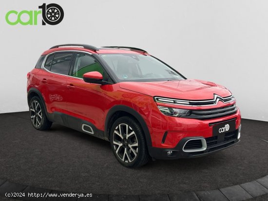 Citroën C5 Aircross BlueHdi 96kW (130CV) S&S EAT8 Feel - Toledo