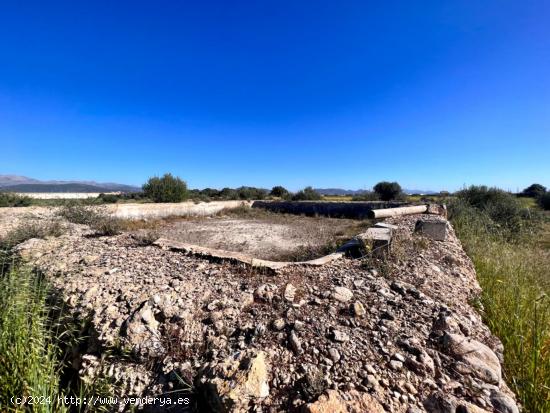 Finca rústica Sa Pobla - BALEARES