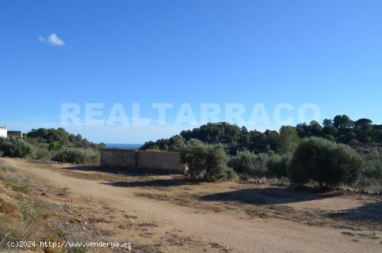 TERRENO AGRARIO EN VENTA EN RIUDECANYES - TARRAGONA