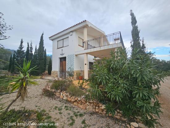 FINCA RÚSTICA CON CASA EN LA RAPITA - TARRAGONA