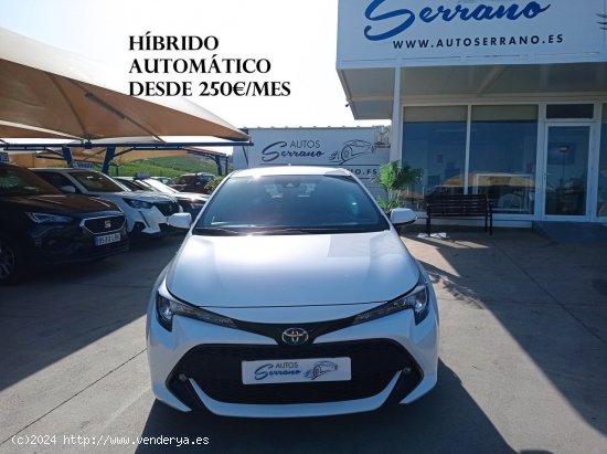  Toyota Corolla 1.8 125H ACTIVE TECH E-CVT - Manilva 