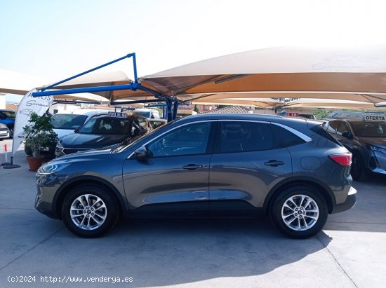 Ford Kuga TITANIUM 1.5 ECOBOOST 150CV - Manilva