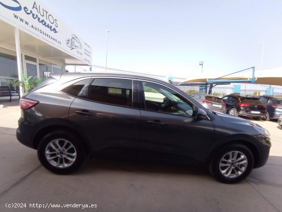 Ford Kuga TITANIUM 1.5 ECOBOOST 150CV - Manilva