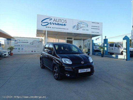  Fiat Panda SPORT 1.0 70CV MT6 E6D - Manilva 