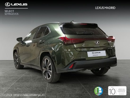 Lexus UX 2.0 250h Luxury - Madrid