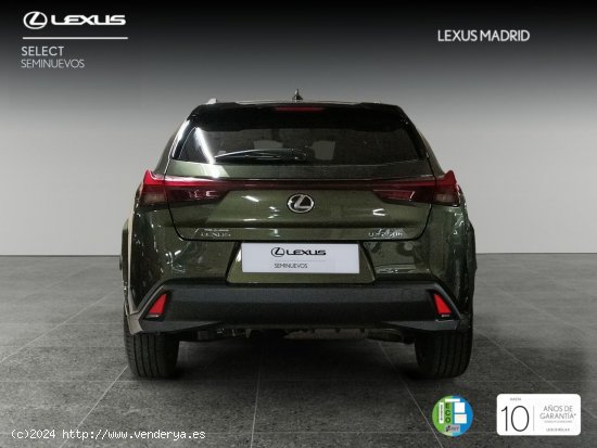 Lexus UX 2.0 250h Luxury - Madrid