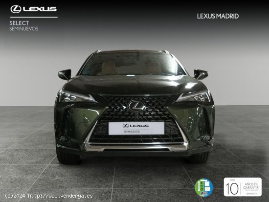 Lexus UX 2.0 250h Luxury - Madrid