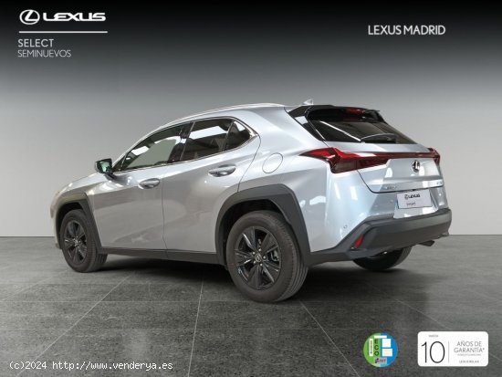 Lexus UX 2.0 250h Premium - El Plantío