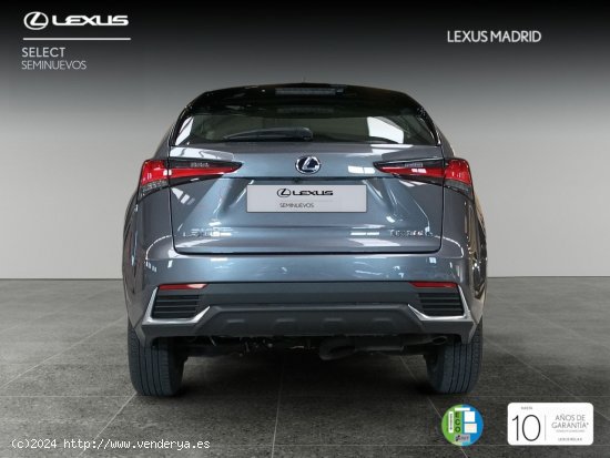 Lexus NX 2.5 300h Business Navigation 2WD - Madrid