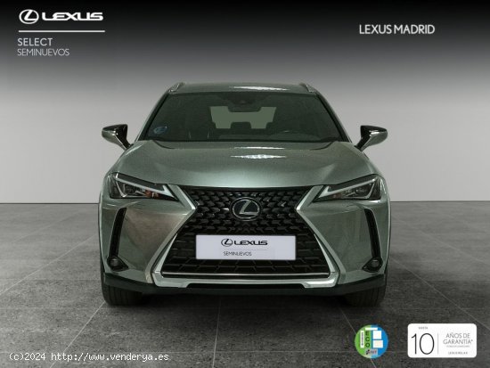 Lexus UX 2.0 250h Business - Madrid