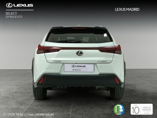 Lexus UX 2.0 250h Premium - Madrid