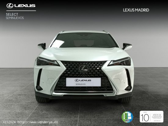 Lexus UX 2.0 250h Premium - Madrid