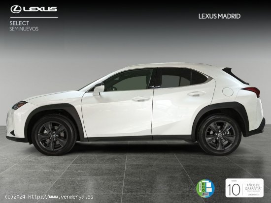 Lexus UX 2.0 250h Premium - Madrid