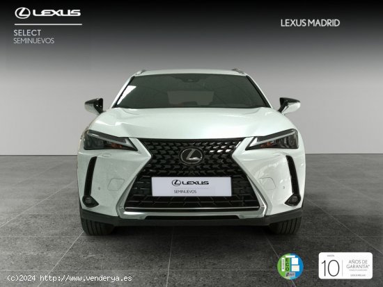 Lexus UX 2.0 250h Premium - Madrid