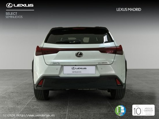 Lexus UX 2.0 250h Premium - Madrid