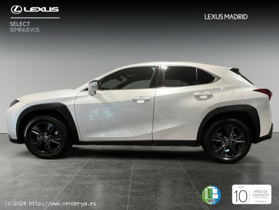 Lexus UX 2.0 250h Premium - Madrid